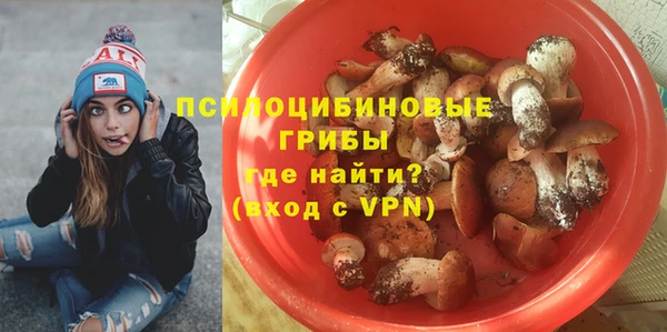 альфа пвп Надым