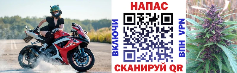 Каннабис Ganja  Орлов 